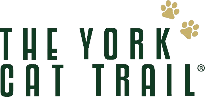 The York Cat Trail
