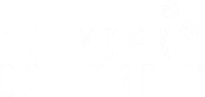 The York Cat Trail